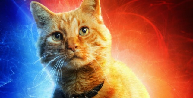 【娛樂文化解答】為何驚奇隊長的貓在電影裡不採用漫畫的星際大戰名字「丘仔」呢？