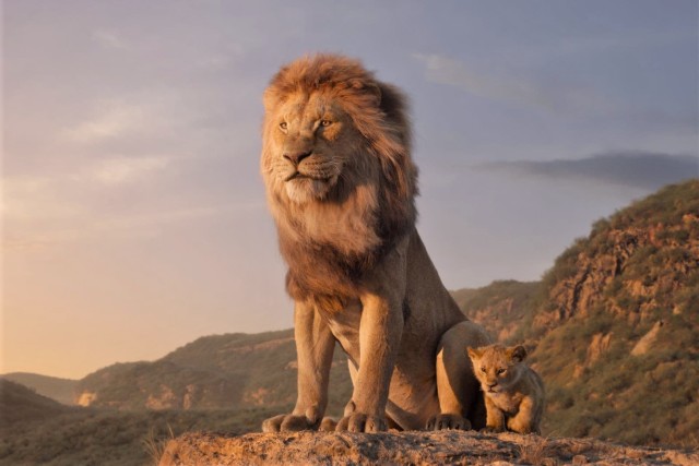 《獅子王》擬真版將開拍《教父2》風格續集！《月光下的藍色男孩》金獎提名導演接棒操刀