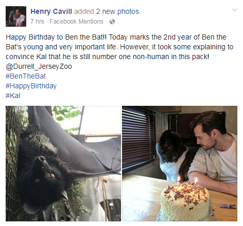 「超人」亨利卡維爾慶祝保育領養的蝙蝠「小班」兩歲生日！
