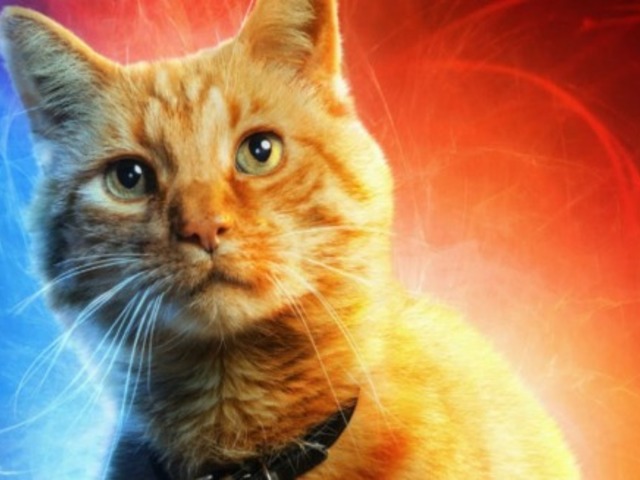 【娛樂文化解答】為何驚奇隊長的貓在電影裡不採用漫畫的星際大戰名字「丘仔」呢？