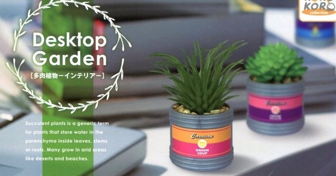 真‧絕對不會失敗的多肉植物照顧方法！KOROKORO Desktop Garden 多肉植物轉蛋（ デスクトップ ガーデン）比懶人植物還更懶！