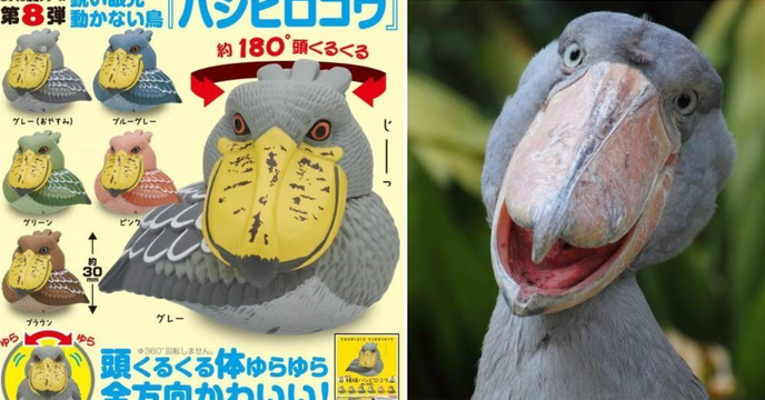 鳥界的大頭王者！奇譚俱樂部 《豐滿福氣系列》大好評續推第8彈「豐滿福氣鯨頭鸛」（ふっくら福福ハシビロコウ）全六款