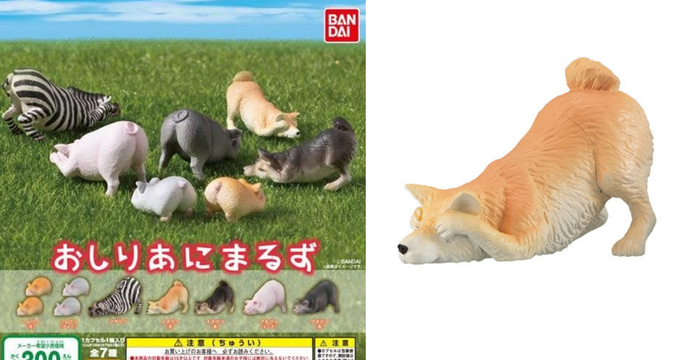 就是不想面對～「逃避屁屁動物」登場！ GASHAPON 翹屁屁動物 轉蛋（おしりあにまるず）全七種