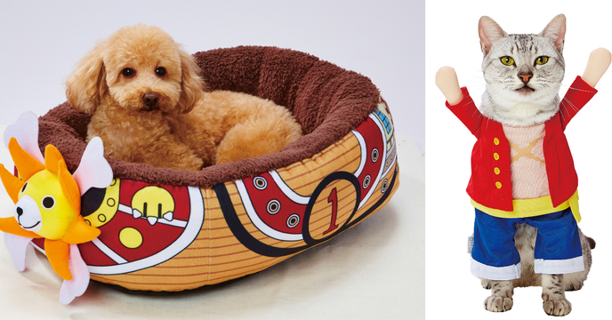 我要成為航海汪！BANDAI x PETIO 寵物品牌「Charapeti」系列推出《ONE PIECE 航海王》貓狗用品周邊（キャラペティ）