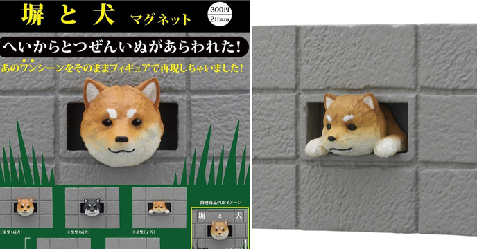 這也可以轉蛋化？奇譚俱樂部「從牆壁洞探頭的柴犬」磁鐵轉蛋（キタンクラブ 塀と犬） 全5種 爆笑登場