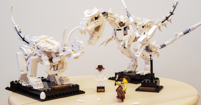 Lego 21320 恐龍化石 凍未條的可愛裝飾