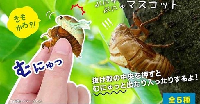 變態的衝擊瞬間！Toys Spirits 脫皮系列第一彈「金蟬脫殼」轉蛋吊飾（セミの抜け殻）全五種