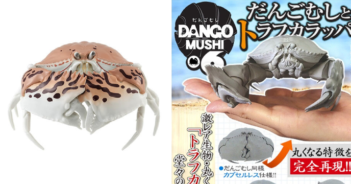 縮成一團的超萌饅頭蟹登場！GASHAPON 超擬真轉蛋「團子蟲06 饅頭蟹篇」（だんごむし06 だんごむしととらふからっぱ）全五款