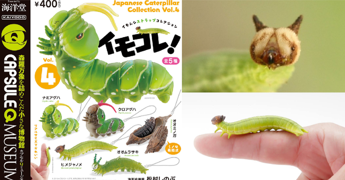 傳說中的貓毛蟲登場～海洋堂《膠囊Q博物館》第四彈「毛毛蟲吊飾收集系列」轉蛋（イモムシストラップコレクション イモコレ!4）全五款