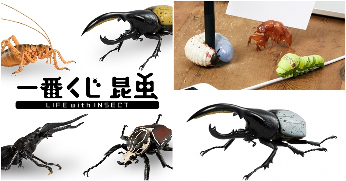 超人氣蟲蟲夏日襲來！一番賞「昆蟲 LIFE with INSECT」原尺寸擬真登場（一番くじ 昆虫 LIFE with INSECT）