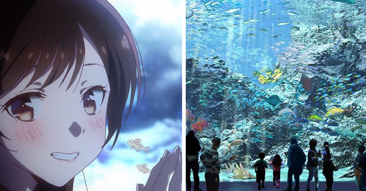 Xpark橫濱八景島水族館即將來臺   420種海洋生物如萬花筒炫亂!!  還有「福爾摩沙」園區?