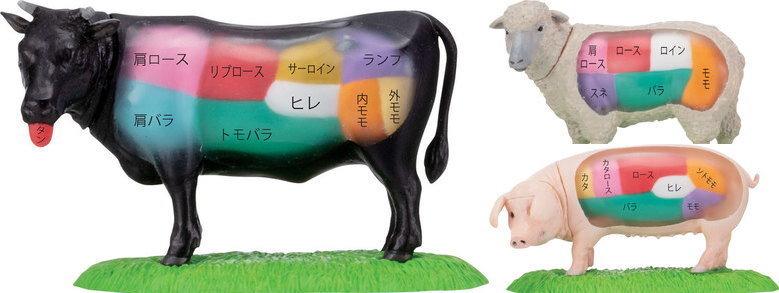你知道自己吃的肉是哪個部位嗎？「多美」推出「看得見部位的動物」系列轉蛋！