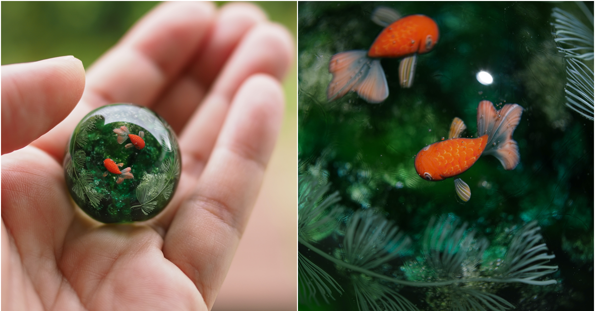 世界級的玻璃藝術！日本神奇推主魚缸裡的金魚裝進彈珠裡了！