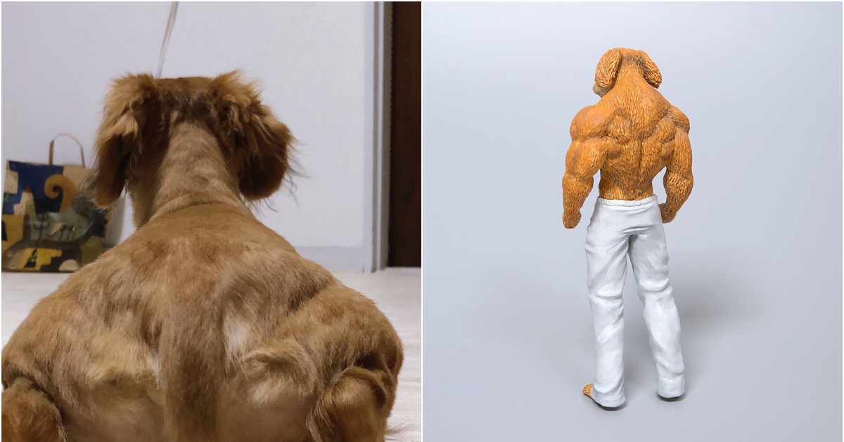 網路熱議的背肌狗又被做成模型了 這年頭的動物其實是想征服人類吧 日刊電電 玩具人toy People News