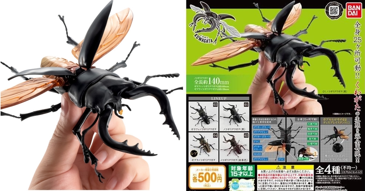 GASHAPON 昆蟲圖鑑超擬真「鍬形蟲」環保扭蛋 超人氣甲蟲14公分登場！