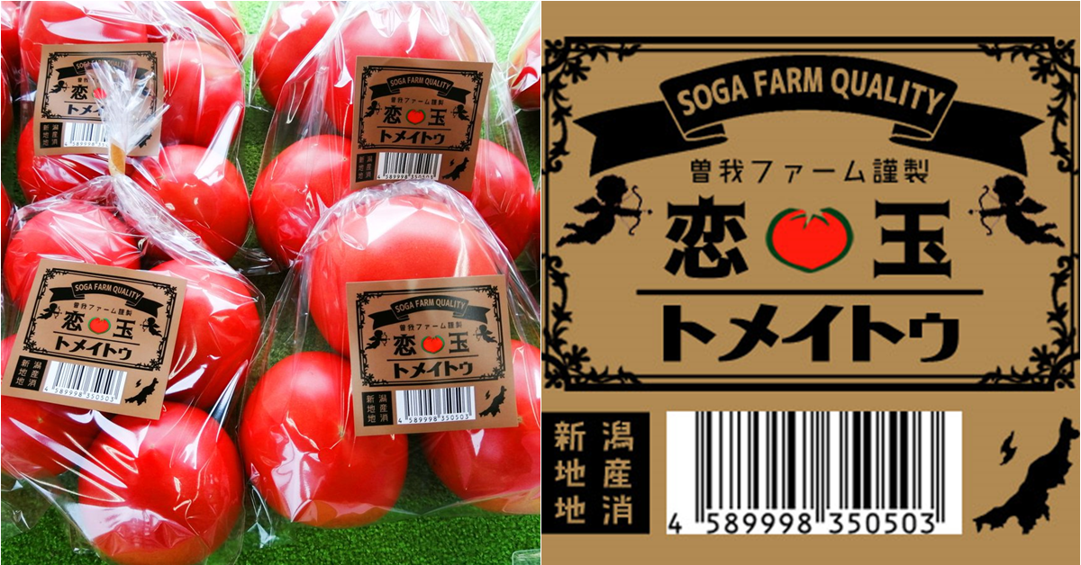 番茄你都念「Tomato」還是「Tomeito」？日本推主曾因被取笑  而推出「強迫認同讀音」的番茄