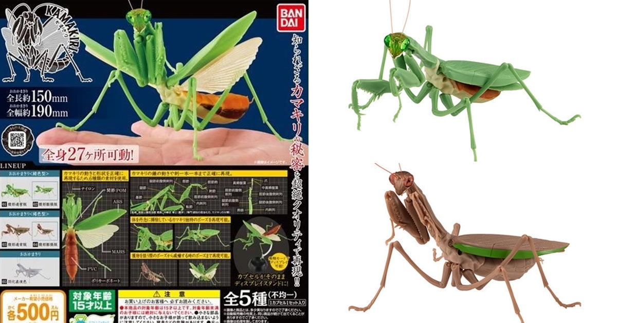 GASHAPON 昆蟲圖鑑超擬真「大螳螂」環保扭蛋 19公分大尺寸再現生動細節！