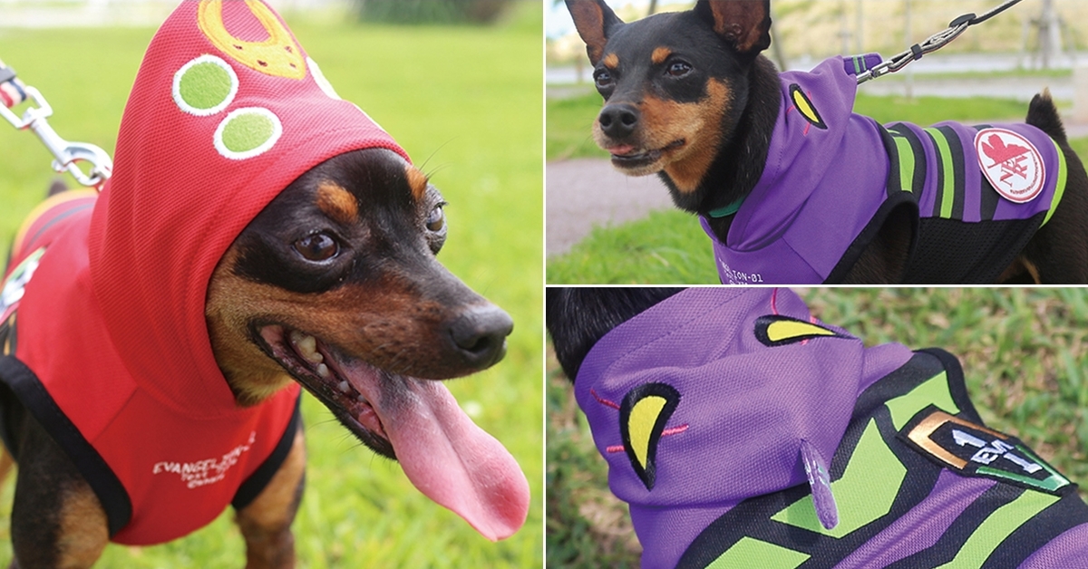 泛用犬型決戰兵器？EVA×doggy shake「初號機／二號機寵物衣」再販 