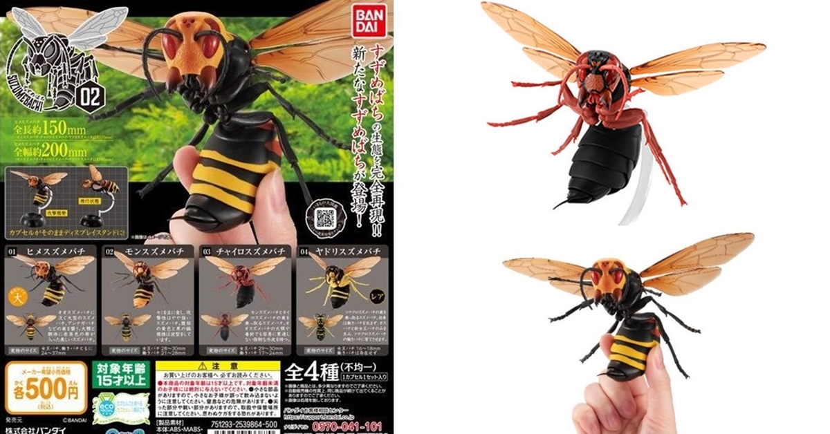 GASHAPON 擬真昆蟲圖鑑「虎頭蜂02」第二彈轉蛋 最危險昆蟲再襲來！