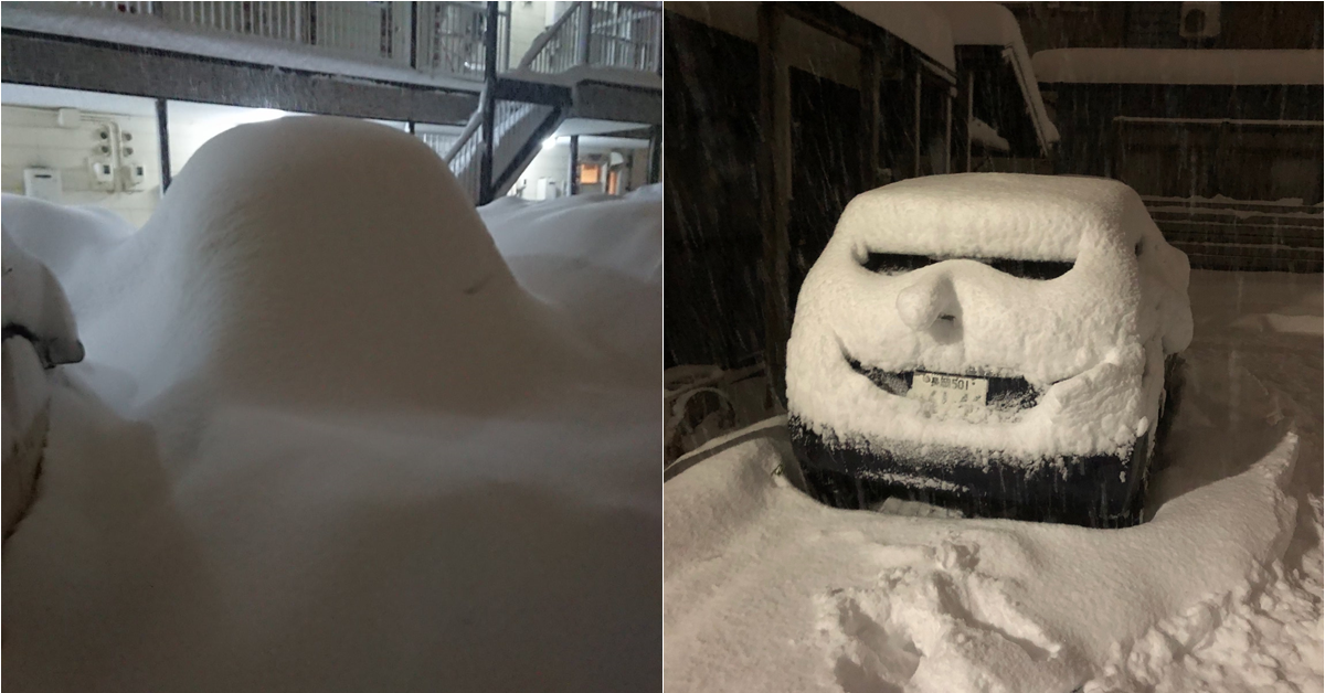 大雪過後的各種奇異面貌　日本推主們的車車於是就這樣變成了雪中生物了（?）