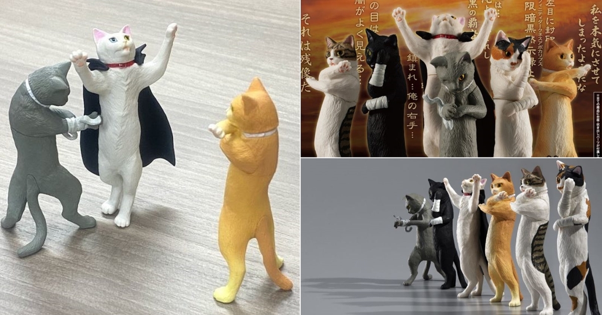 GASHAPON 擋不住封印的「中二病貓」轉蛋 爆笑還原各種經典中二姿勢！