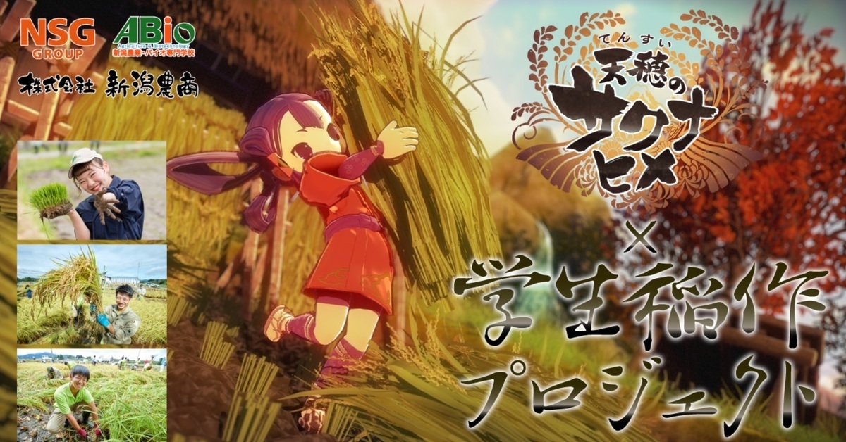 《天穗之咲稻姬》與日本農業學校合作 遵循遊戲古法耕作 把遊戲搬到現實！