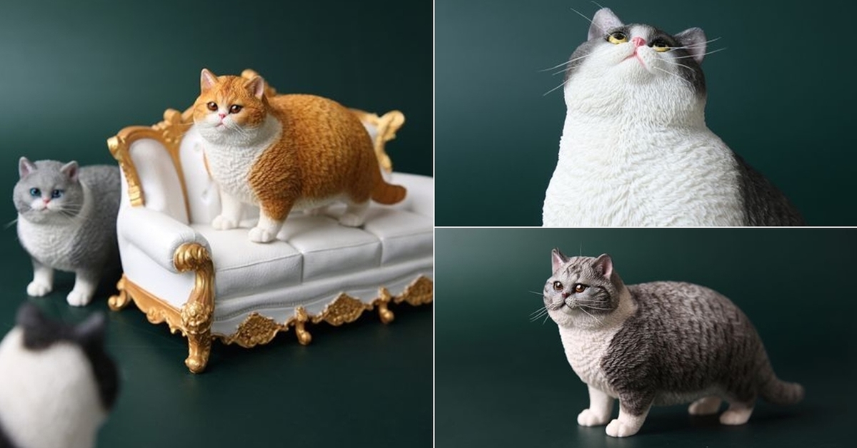 連呼吸都會肥～JxK Studio 擬真動物系列「肥貓」1/6比例塗裝完成品重磅登場！