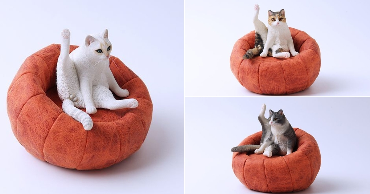 JxK Studio 擬真動物系列「懶貓4.0」1/6比例塗裝完成品 超可愛貓蛋蛋露出！