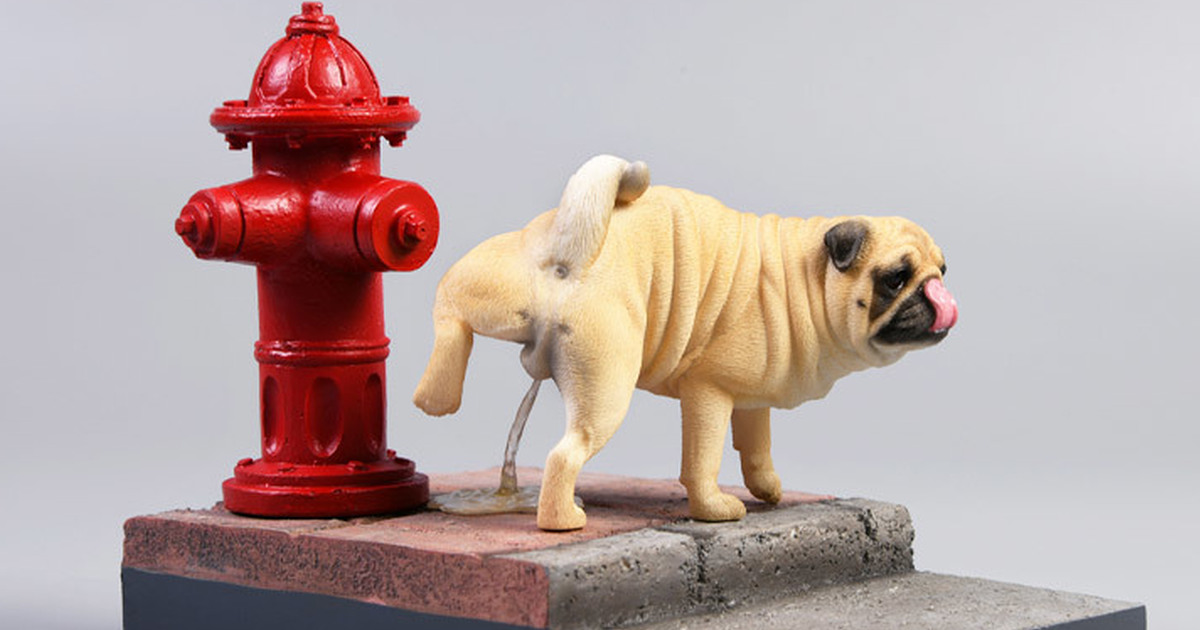  尿尿時間～JxK Studio 擬真動物系列「抬腿巴哥」1/6比例塗裝完成品&街景套組