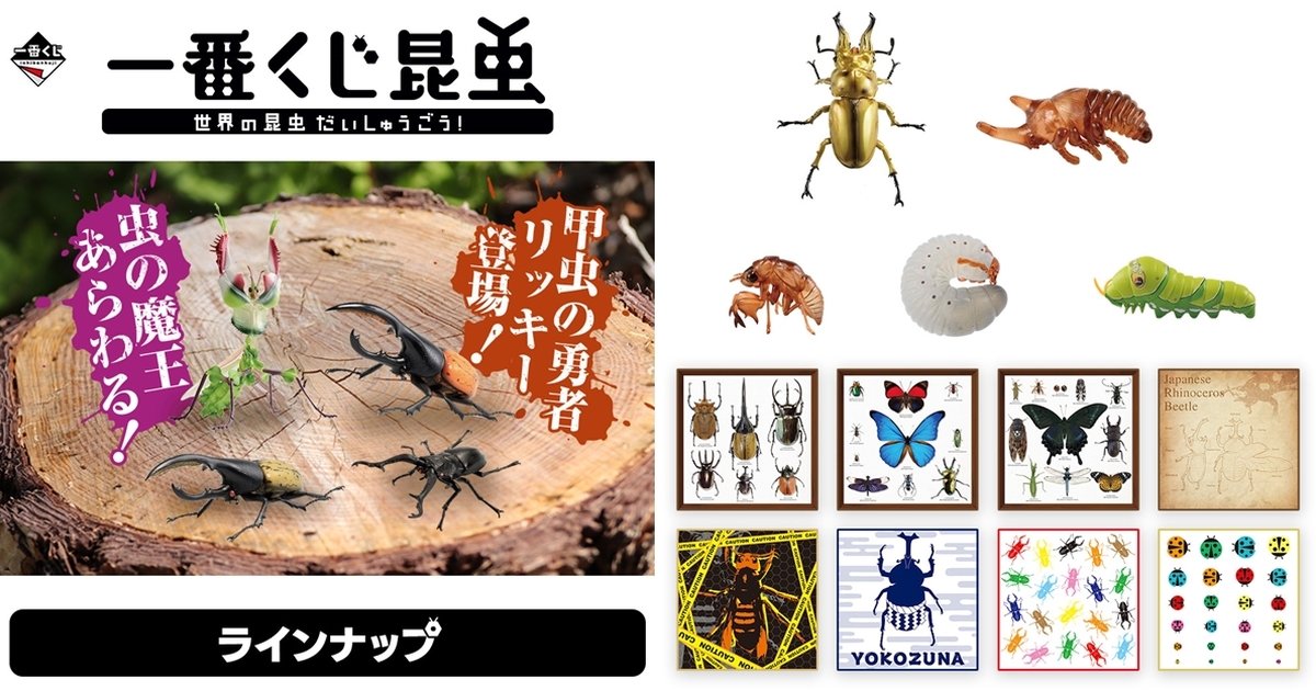 螳螂魔王vs甲蟲勇者！一番賞昆蟲「世界的昆蟲大集合!!」20公分霸氣開戰