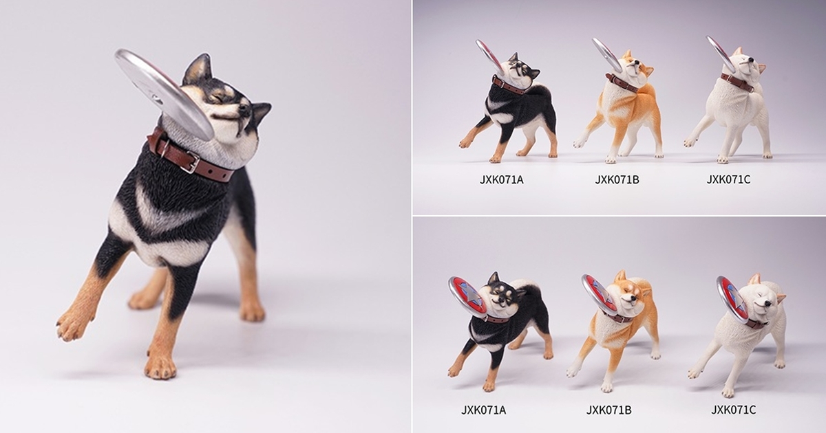 用臉接飛盤的爆笑表情～JxK Studio 擬真動物系列「飛盤柴犬」1/6比例塗裝完成品