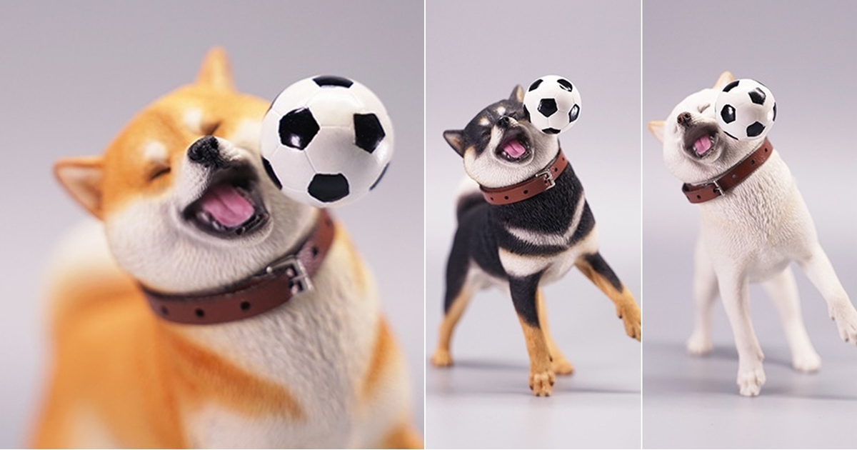 嘴邊肉接球球！JxK Studio 擬真動物系列「足球柴犬」1/6比例塗裝完成品