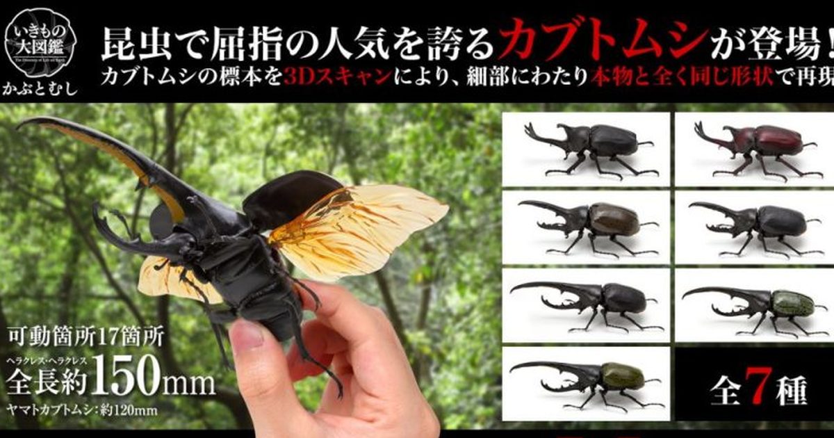 GASHAPON 昆蟲圖鑑超擬真「獨角仙」環保扭蛋 七款大人氣兜蟲襲來～