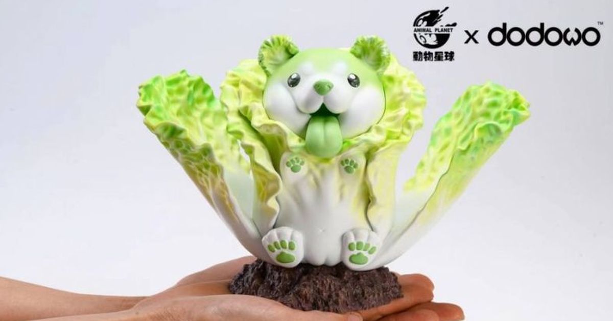 動物星球 DODOWO × ぽん吉《果物精靈》第二彈「開花菜狗」超萌白菜柴蹦開啦～