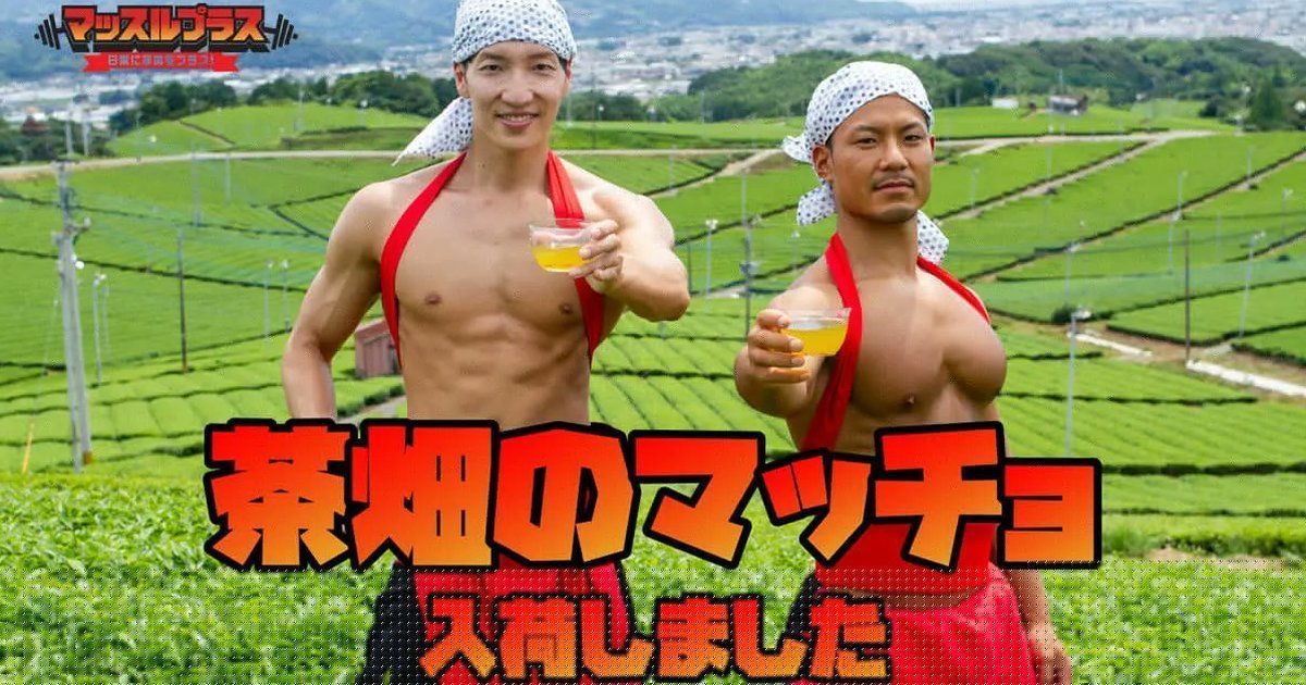 謎樣的肌肉素材網站又來啦！ 這次以「採茶茶農」為題材在茶園揮灑汗水