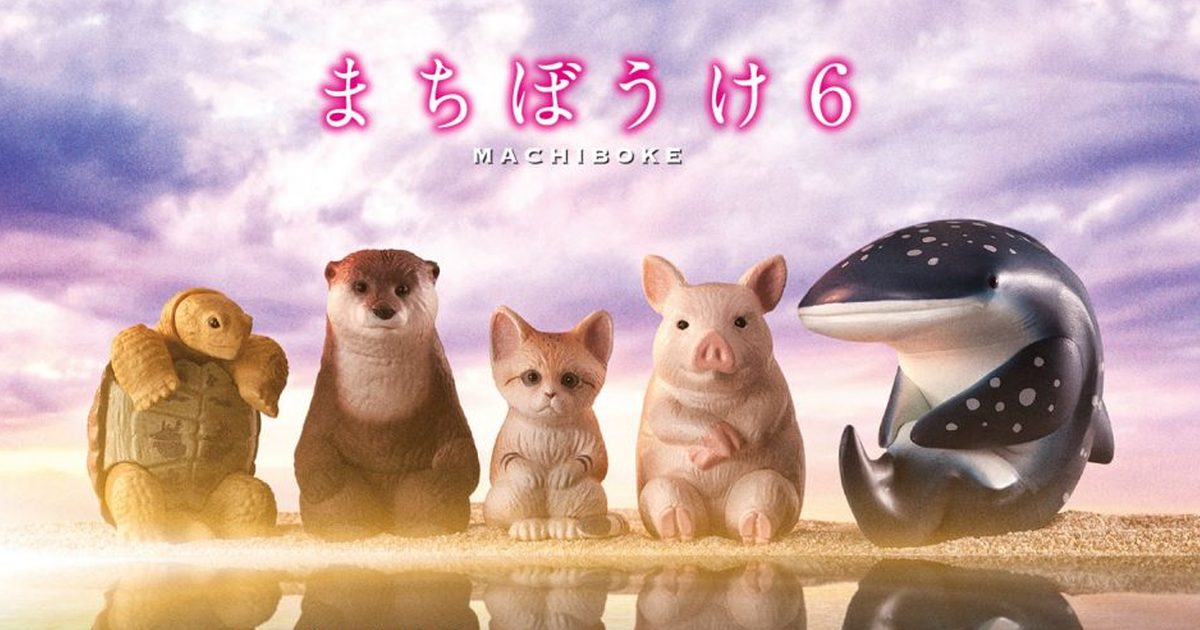 GASHAPON 人氣第六彈「等待中的動物6」轉蛋 鯨鯊、陸龜與沙貓加入等待陣容！