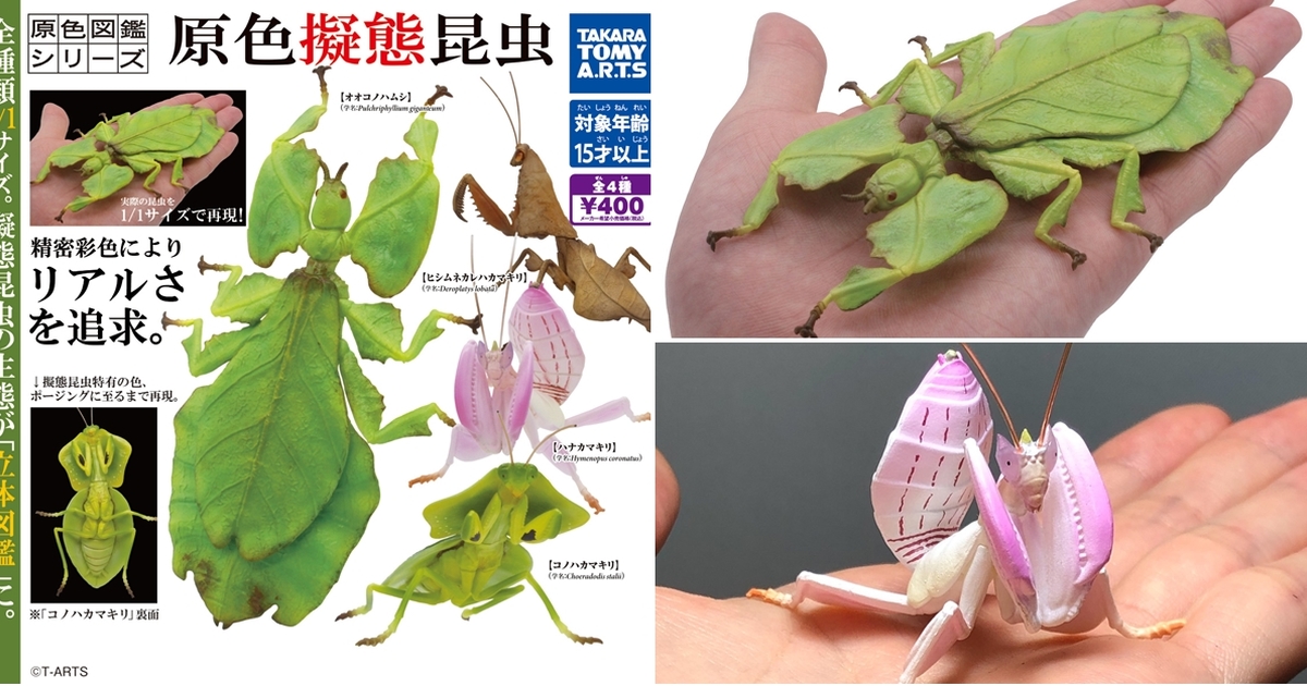 偽裝大師！T-ARTS「原色圖鑑系列 擬態昆蟲」轉蛋 葉䗛、蘭花螳螂1/1 比例擬真還原