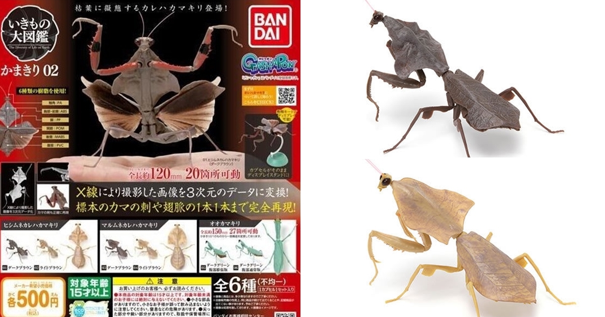 GASHAPON 昆蟲圖鑑超擬真「大螳螂02」環保扭蛋 擬態獵手枯葉螳螂強勢登場！