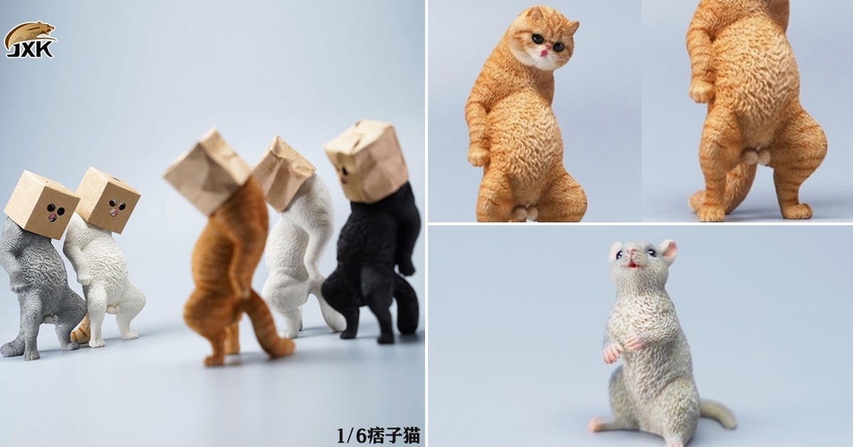要不要來我家看貓？JxK Studio 擬真動物系列「痞子貓」1/6比例塗裝完成品 