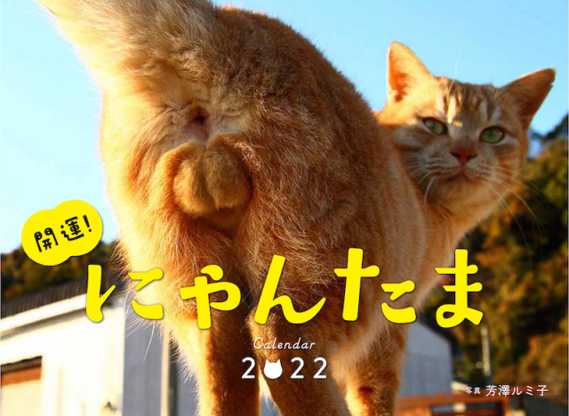 用「金玉」為新年帶來好運！辰巳出版「2022年開運貓蛋蛋月曆」讓你有個充滿蛋蛋的2022！