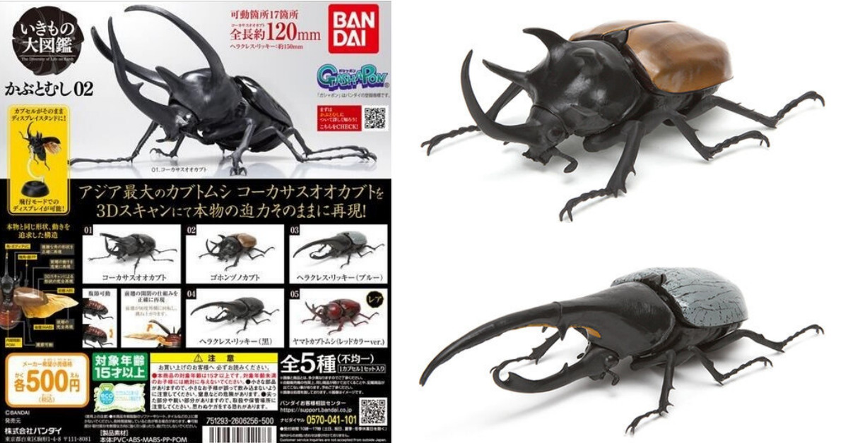 GASHAPON 昆蟲圖鑑「獨角仙02」超擬真環保扭蛋 透明後翅再現飛行型態～