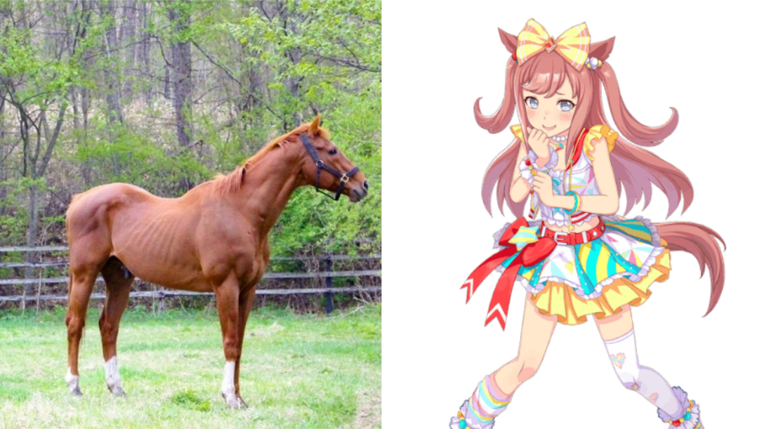 全才的殞落　手遊《賽馬娘Pretty Derby》角色「愛麗數碼」原型馬「Agnes Digital」逝世，享年24歲