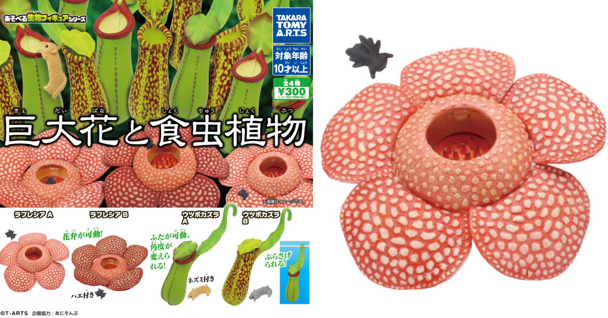 T-ARTS遊玩生物系列「巨大花與食蟲植物」轉蛋 結合可動設計認識霸王花、豬籠草！