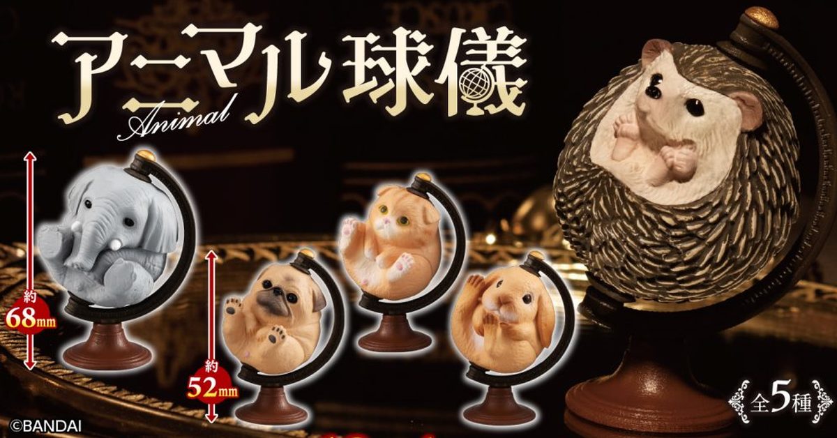 GASHAPON「動物球儀」轉蛋 水汪汪大眼超無辜～還有( * )小菊花