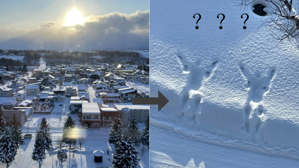 白雪皚皚...等等那是誰？日本推主拍攝北海道雪景卻意外發現地上兩個特別的「印記」！？