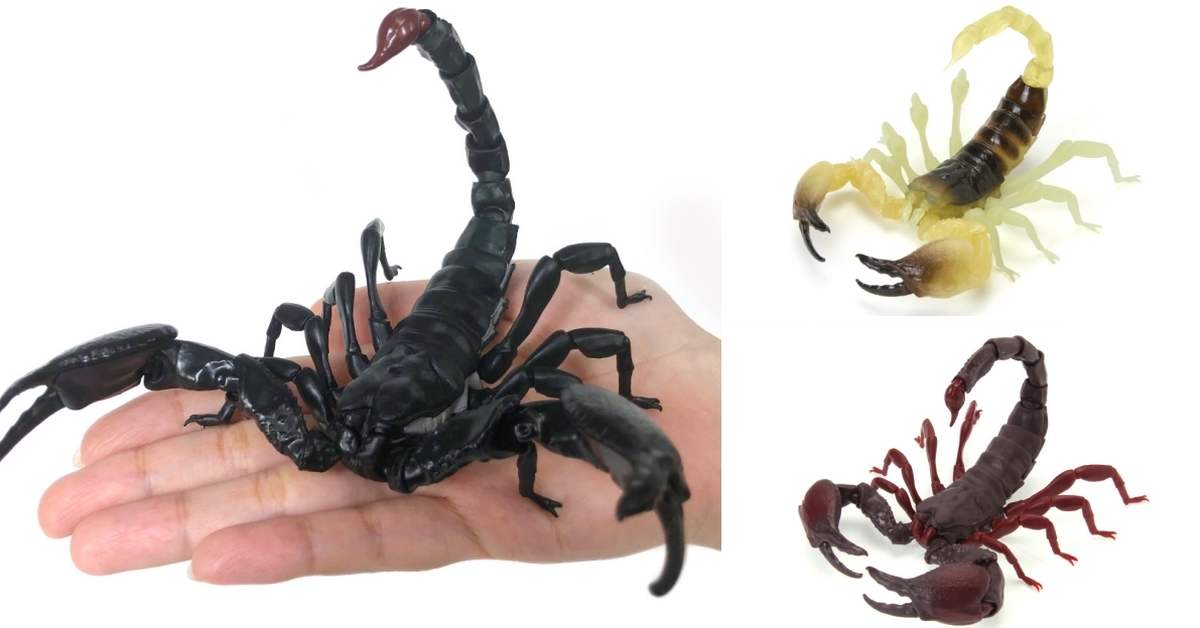 GASHAPON 生物圖鑑「帝王蠍 蠍子」擬真環保扭蛋 長17公分、全身35處可動！