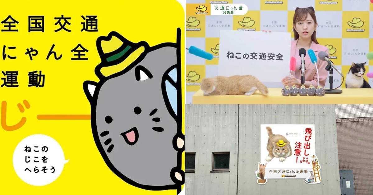 守護貓咪生活的安全！日本廠商推廣「全國交通貓咪全運動」喚起民眾愛貓意識