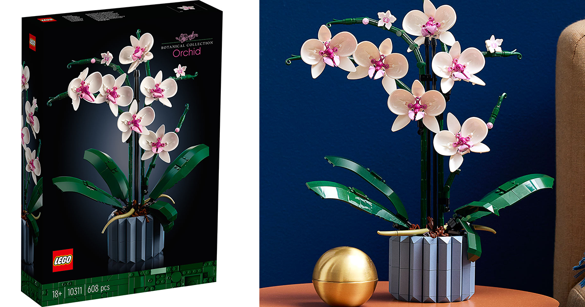 LEGO 10311 創意系列「蘭花」磚拼模型（Botanical Collection Orchid）情報公開！ | 玩具人Toy ...