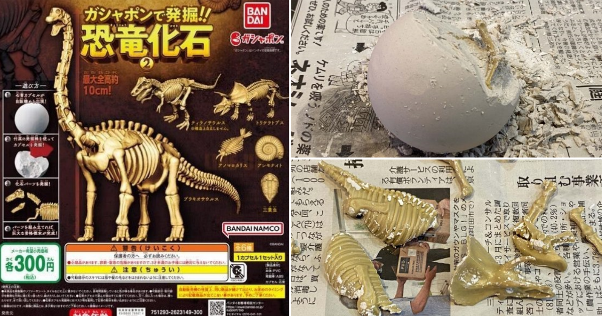 萬代「從GASHAPON中發掘!!恐龍化石2」石膏轉蛋 人氣第二彈 10公分腕龍新登場！