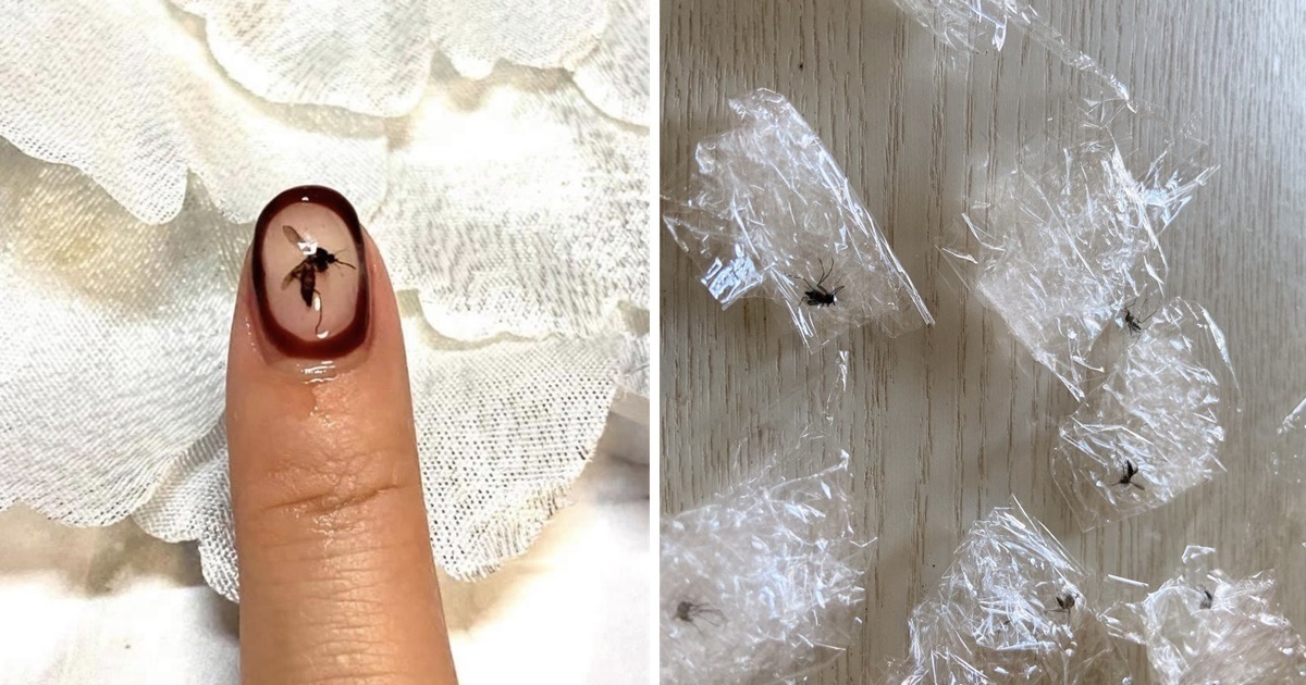 這個怨念太深了... 推主將吸自己血的蚊子做成「美甲」 網友驚 : 我到底看了什麼？